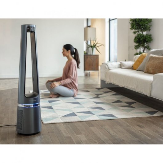 Rowenta Eclipse Ventilador + Purificador 2 en 1 Negro