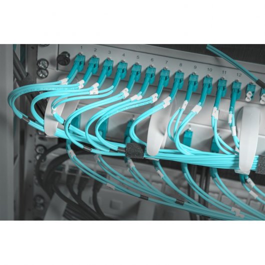 Digitus Panel de Distribución de Cables con Anillas Intercambiables 31x85 mm 19" Gris