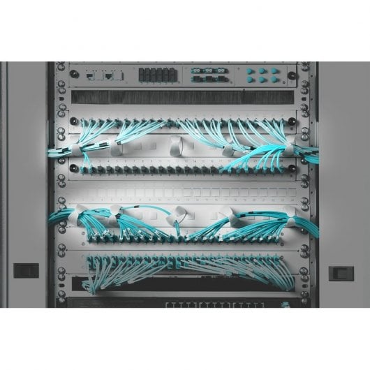 Digitus Panel de Distribución de Cables con Anillas Intercambiables 31x85 mm 19" Gris