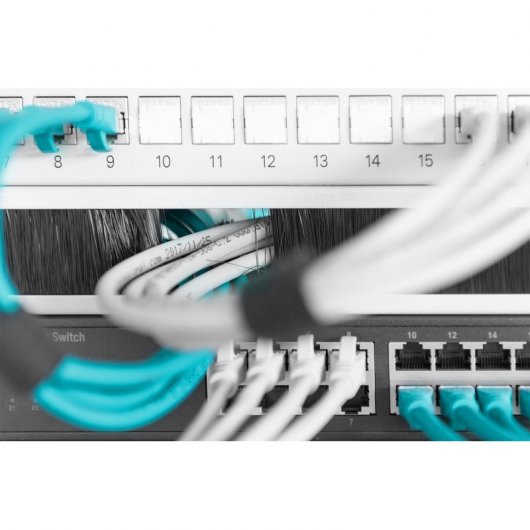 Digitus Panel de Administración Cables 44x483x11mm 19" Gris