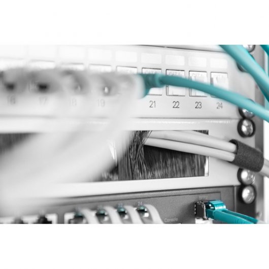Digitus Panel de Administración Cables 44x483x11mm 19" Gris