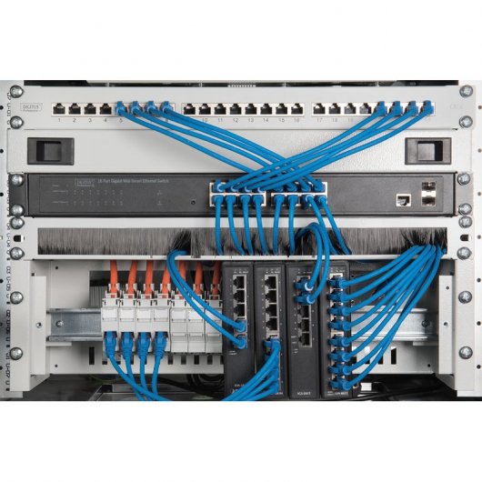 Digitus Panel de Administración Cables 44x483x11mm 19" Gris