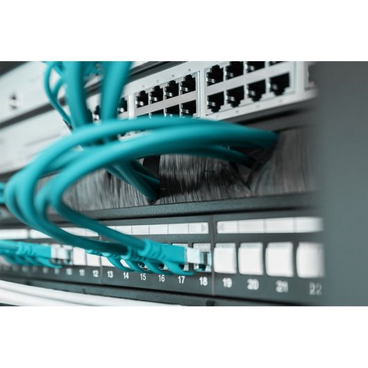 Digitus Panel de Administración Cables 44x483x11mm 19" Negro