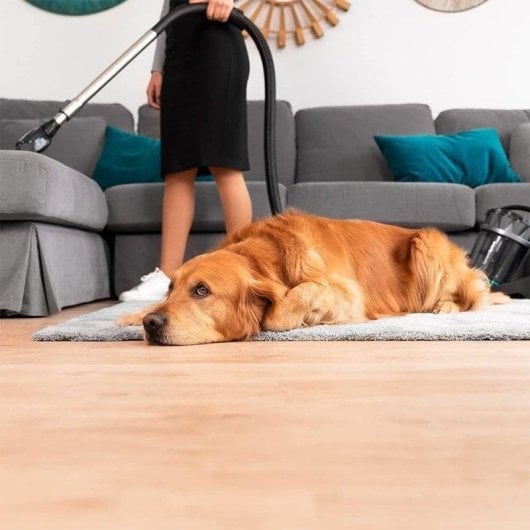 Cecotec Conga PopStar 3000 X-Treme Animal Pro Aspirador sin Bolsa 800W