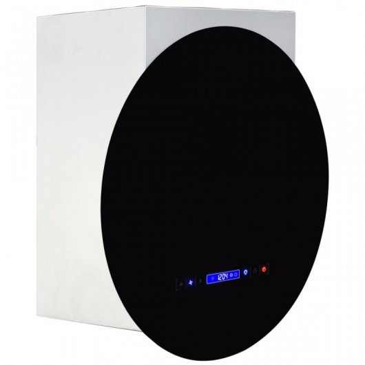 VidaXL Cloche décorative 30 cm D Noir