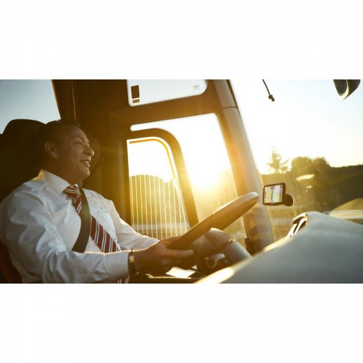 TomTom GO Professional 520