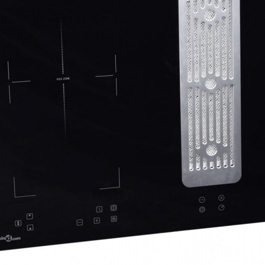VidaXL Placa de Inducción con Campana Extractora 2 Zonas 78cm Negra