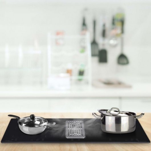 VidaXL Placa de Inducción con Campana Extractora 2 Zonas 78cm Negra