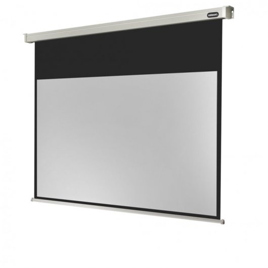 Celexon Electric Professional Pantalla de Proyección Eléctrica 300x169cm