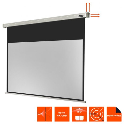 Celexon Electric Professional Pantalla de Proyección Eléctrica 300x169cm