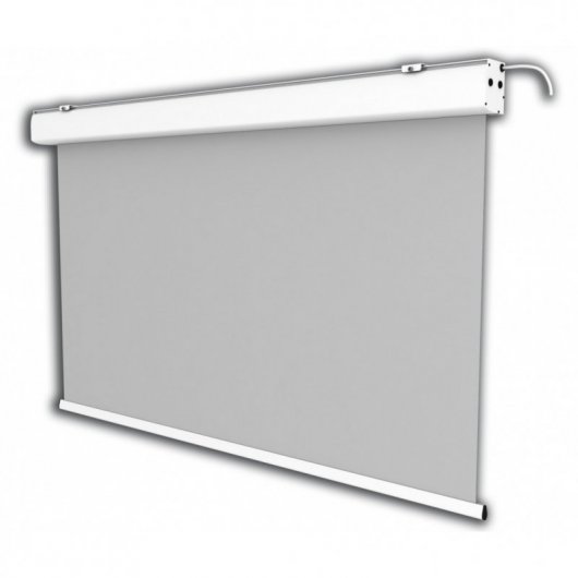 Celexon Expert Pantalla de Proyección Eléctrica 200x200cm