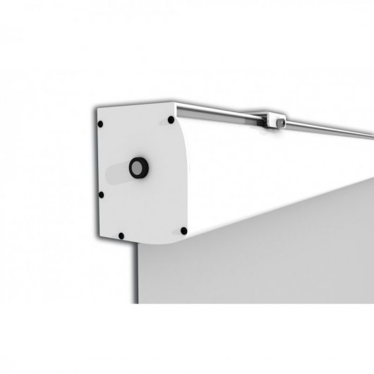 Celexon Expert Pantalla de Proyección Eléctrica 250x250cm