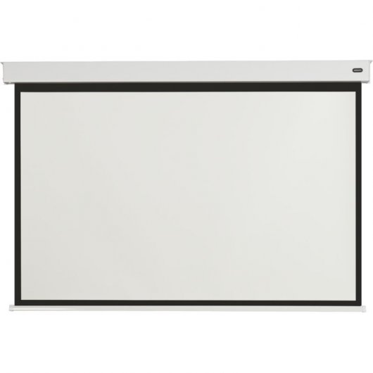 Celexon Motor Professional Plus Pantalla de Proyección con Batería V2.0 280x210cm 16:9