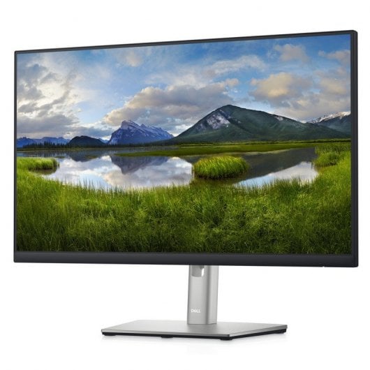 DELL P Series Monitor 24 USB-C Hub - P2422HE