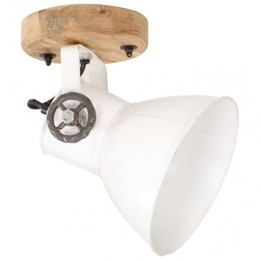 VidaXL Pack de 2 Spots Muraux Industriels E27 Blancs