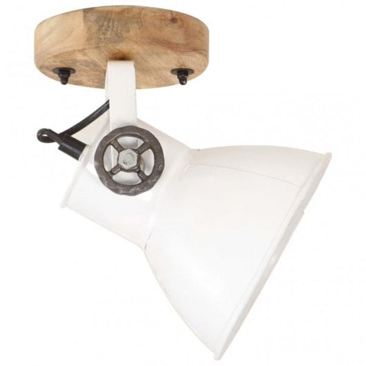 VidaXL Pack de 2 Spots Muraux Industriels E27 Blancs