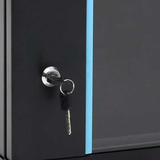VidaXL Armario Rack 19" 9U 600x450x510mm