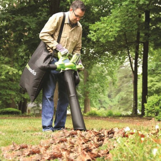 Greenworks GD40BV Soplador de Hojas/Aspirador a Batería