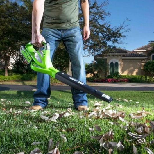 Greenworks GD40BV Soplador de Hojas/Aspirador a Batería