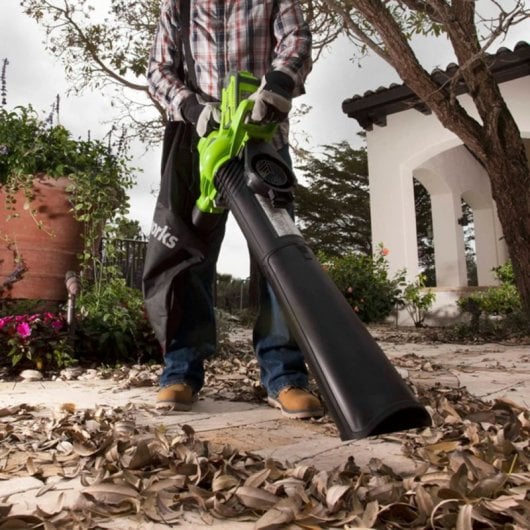 Greenworks GD40BV Soplador de Hojas/Aspirador a Batería