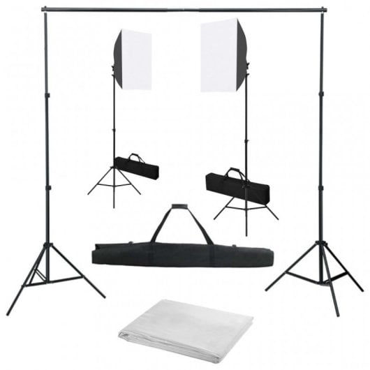 vidaXL Kit de Estudio Fotográfico con Focos Softbox + Telón de Fondo Blanco