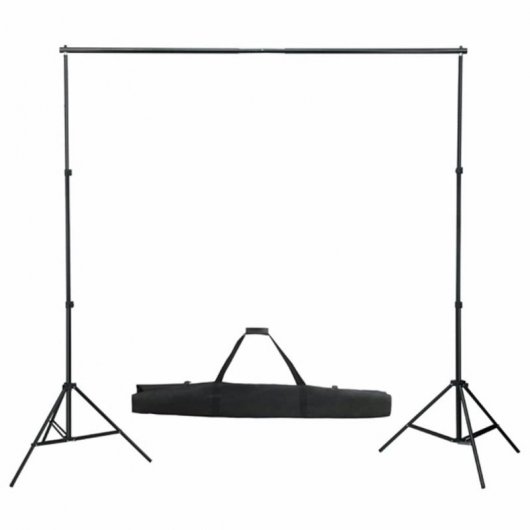 vidaXL Kit studio photo avec 3 lumières + fond vert