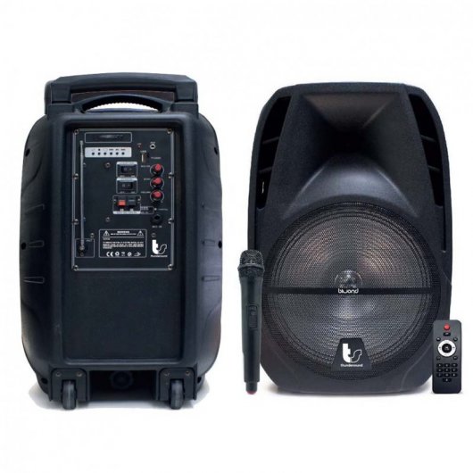 Biwond Thundersound Altavoz Karaoke Bluetooth 200W + Micrófono
