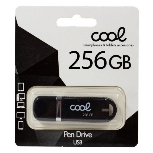 Cool 256GB USB 2.0 Negro