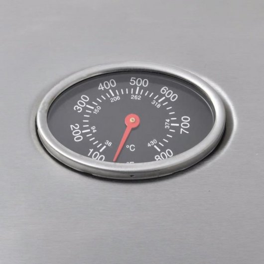 Barbecue à gaz VidaXL 4+1 brûleurs noir/argent (273790)