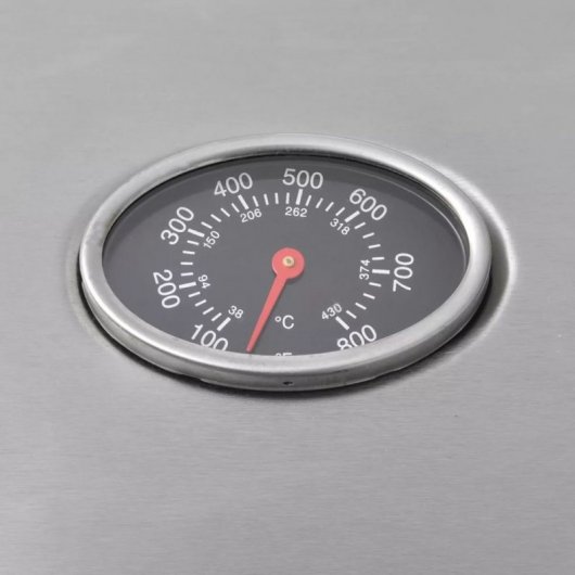 VidaXL Barbacoa Grill de Gas 4+1 Fogones Plateada