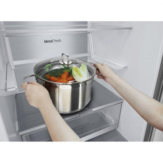 LG GBB72NSUGN Frigorífico Combi D Acero Inoxidable