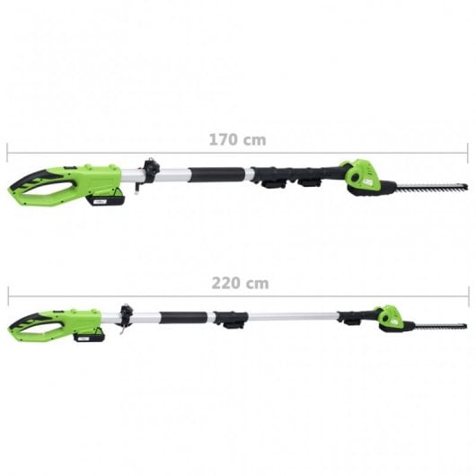 VidaXL Cortasetos de Pértiga con Batería 20V