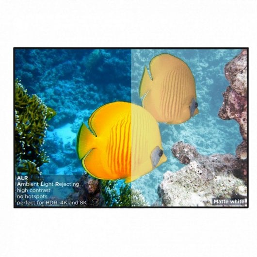 Celexon HomeCinema Frame Pantalla de Proyección de Marco 100" 220x124cm