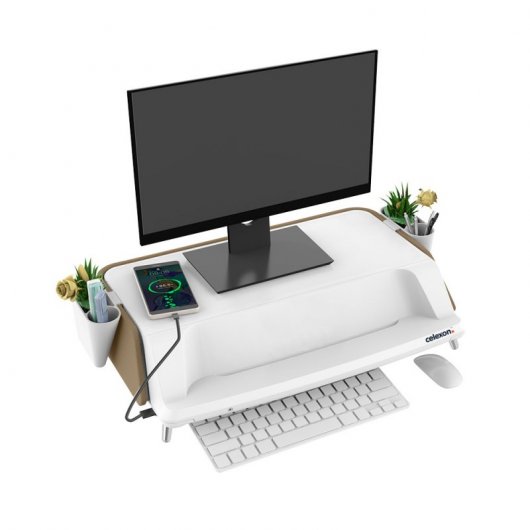Celexon ME1730 Soporte Elevador para Monitor Beige