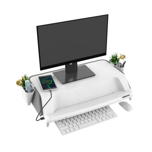 Celexon ME1730 Soporte Elevador para Monitor Gris