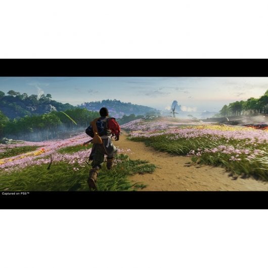Ghost Of Tsushima Director's Cut PS5