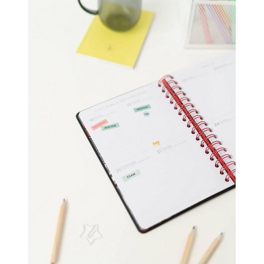 Erik Agenda Escolar 2021/2022 A5 Semana Vista Kalenda Harry Potter