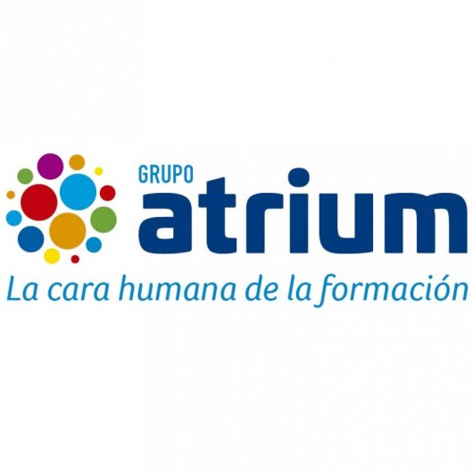 Grupo Atrium Máster Big Data Analytics and Processing Foundations 500 Horas