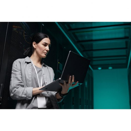 INESEM Curso en Data Science (Titulación Universitaria + 8 Créditos ECTS) 200 Horas