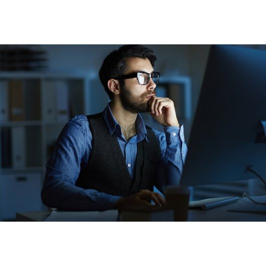 INESEM Master en Seguridad Informática y Hacking Ético + 60 Créditos ECTS 1500 Horas