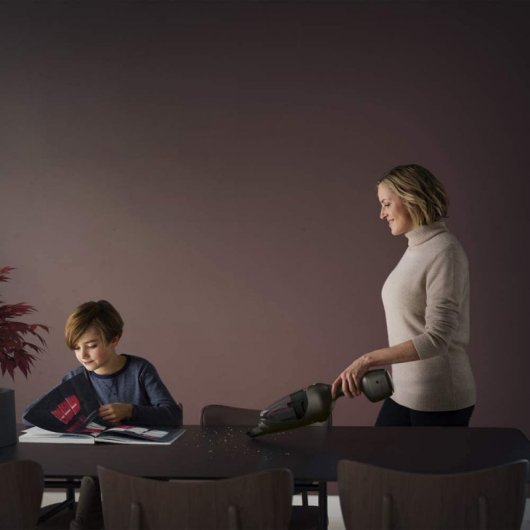 Electrolux PureQ9 Aspirador Escoba Eléctrica 25.2V