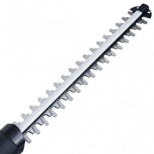 VidaXL Cortasetos de Pértiga 2 en 1 con Batería 20V