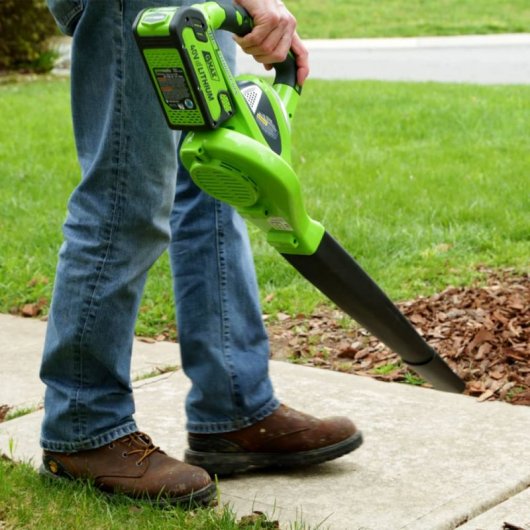 Greenworks 24227UB Soplador de Hojas 40V