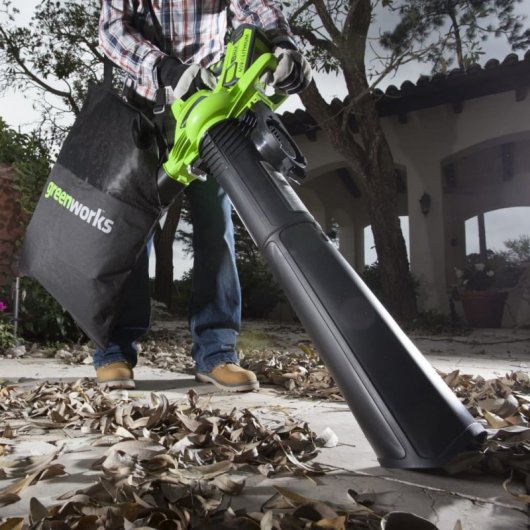 Greenworks 24227UB Soplador de Hojas 40V