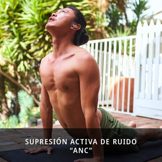 Jaybird Vista 2 Auriculares Deportivos Bluetooth Grises