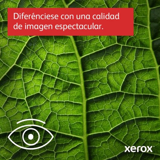 Xerox B310 Impresora Láser Monocromo WiFi