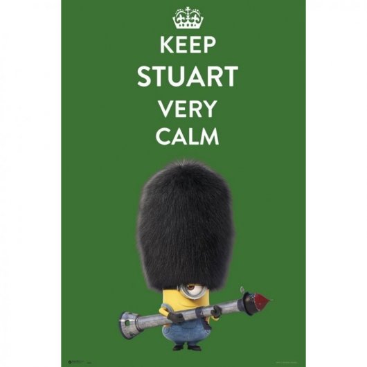 Erik Maxi Póster Minions Keep Stuart 91.5x61cm