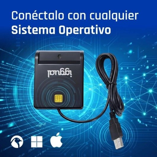 Kartenleser Iggual IGG316740 USB 2.0 Schwarz