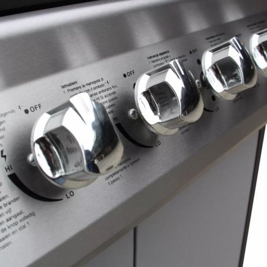 VidaXL Barbacoa Grill de Gas Negra/Plata + Funda