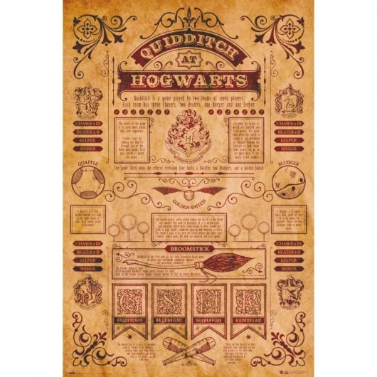 Erik Maxi Póster Harry Potter Quidditch 91.5x61cm
